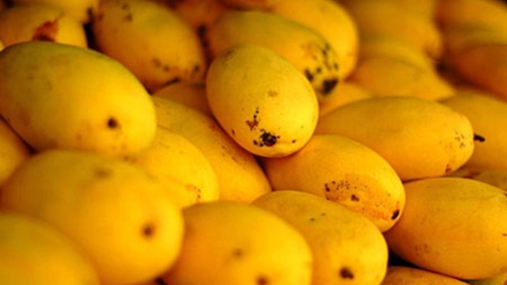 中国産の低価格のミニマンゴはベトナムに登場2