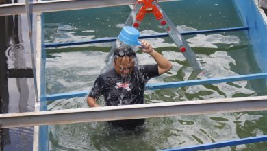 日本人専門家：トーリック川の水質浄化試験タンクで浴びる4