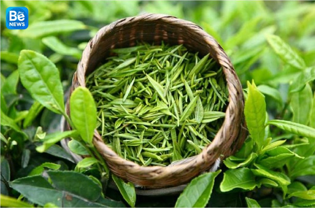 ベトナムの緑茶がパキスタンのマーケットリーダー1