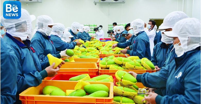 アメリカ・中国間の緊張により、野菜と果物の輸出が減少してきました