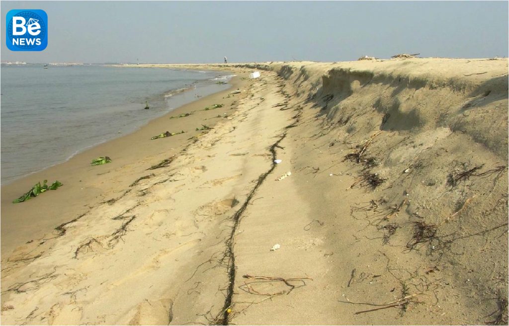 Cua Dai海での砂丘の面積は1.5ヘクタール減少なりました1
