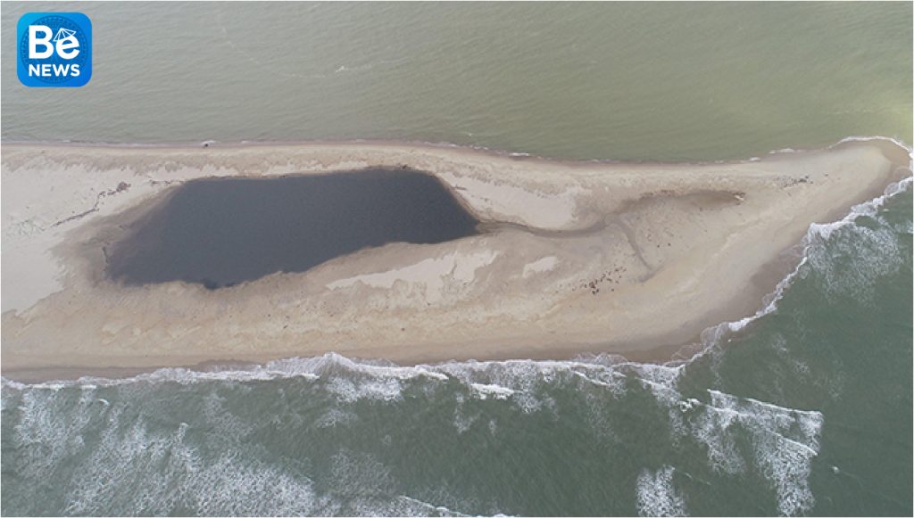 Cua Dai海での砂丘の面積は1.5ヘクタール減少なりました2